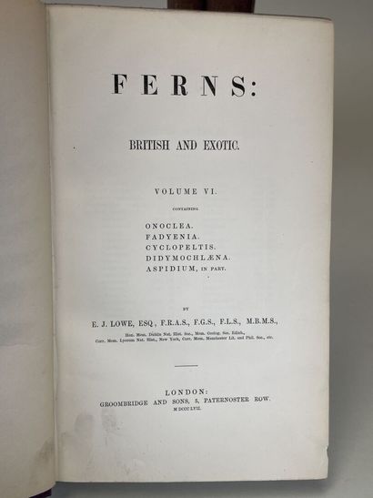 LOWE, Edward Joseph. - Ferns : British and...
