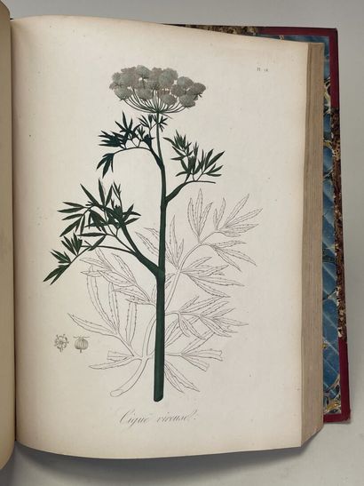 ROQUES, Joseph. - Phytographie médicale,...