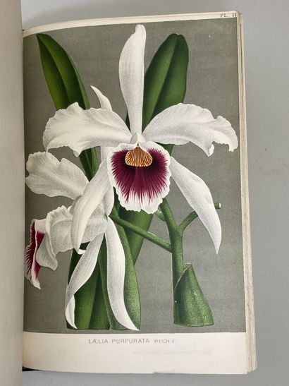 KERCHOVE DE DENTERGHEM, Oswald de. - Le Livre...