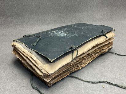 Important herbier de 1923. 
13 x 47 x 30...