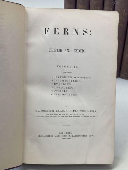 LOWE, Edward Joseph. - Ferns : British and...