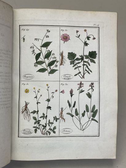 ROQUES, Joseph. - Plantes usuelles, indigènes...