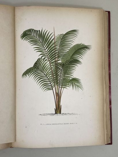 KERCHOVE DE DENTERGHEM, Oswald de. - Les...