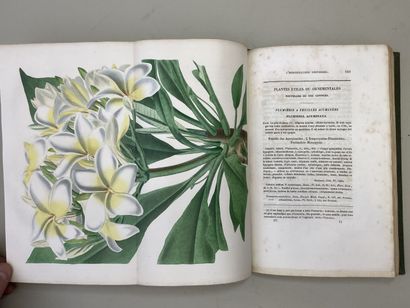 LEMAIRE, Charles. - L'Horticulteur Universel,...