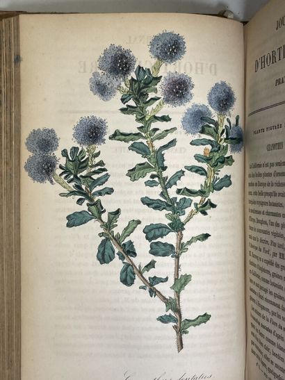 Journal d'horticulture pratique de la Belgique...