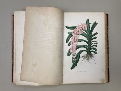 PUYDT, (Émile de). - Les Orchidées. Histoire...