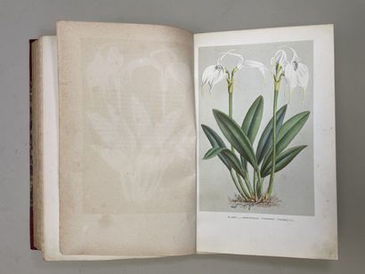 PUYDT, (Émile de). - Les Orchidées. Histoire...