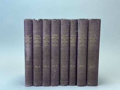 LOWE, Edward Joseph. - Ferns : British and...