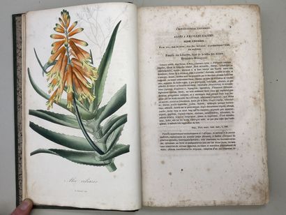 LEMAIRE, Charles. - L'Horticulteur Universel,...