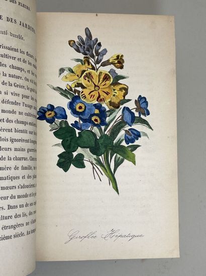 LA TOUR, Charlotte de (pseud. Mme. CORTE)....