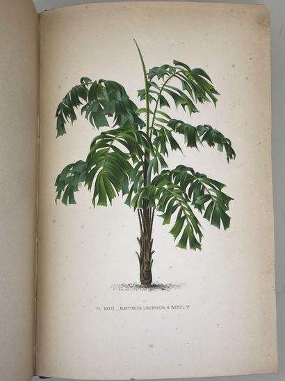 KERCHOVE DE DENTERGHEM, Oswald de. - Les...