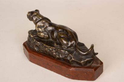 Antoine Louis BARYE (d'après)
Lionne couchée...