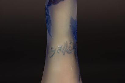 GALLÉ ESTABLISHMENT.
Acid-etched blue multi-layer...