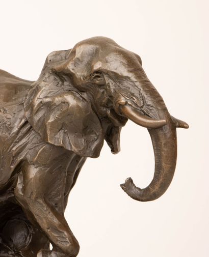 MILO ( XX°)
Eléphant
Epreuve en bronze à...