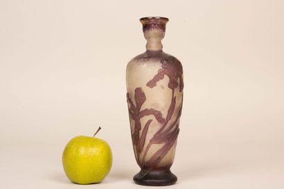 BURGUN, SCHVERER & CIE - VERRERIE D'ART DE...
