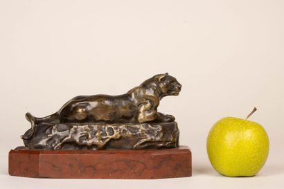 Antoine Louis BARYE (d'après)
Lionne couchée...