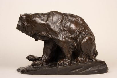 Antonio AMORGASTI (1880-1942)
Seated polar...