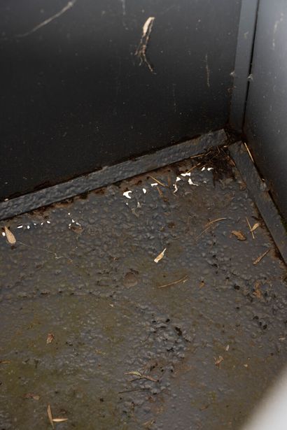 Paire d'obélisques grillagées sur caisse...