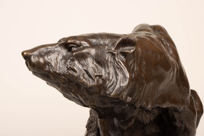 Antonio AMORGASTI (1880-1942)
Seated polar...