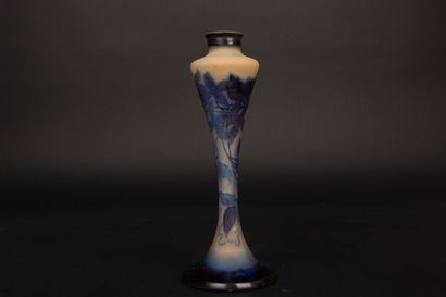 GALLÉ ESTABLISHMENT.
Acid-etched blue multi-layer...