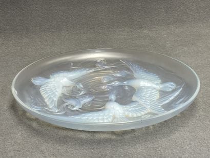 VERLYS : 
Grand plat en verre opalescent...