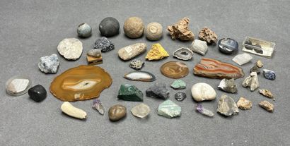 Lot de pierres et fossiles.
H. :1 de 8 c...