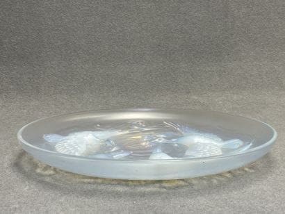 VERLYS : 
Grand plat en verre opalescent...