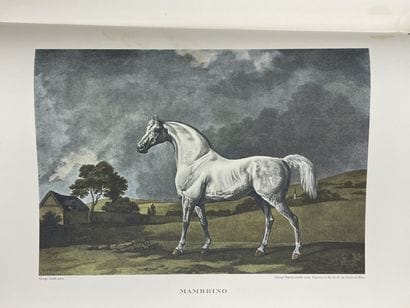 LA CHASSE A COURRE 
D'après l'Estampe anglaise,...
