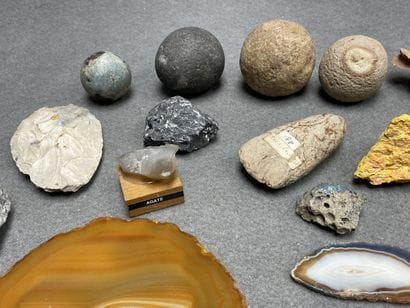 Lot de pierres et fossiles.
H. :1 de 8 c...