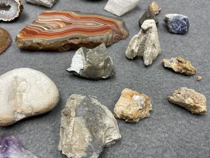 Lot de pierres et fossiles.
H. :1 de 8 c...