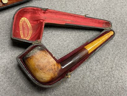 Ensemble de cinq pipes bruyères et écume...
