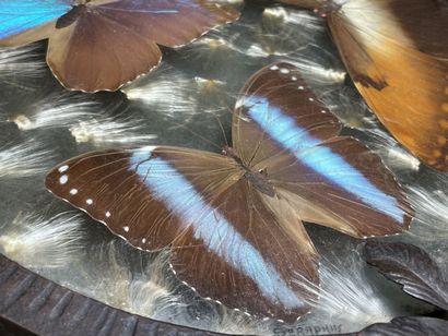Plateau en fer forgé, papillons sous verre.
années...