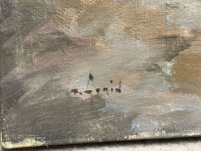 Bord de mer.
huile sur toile moderne signée.
38...