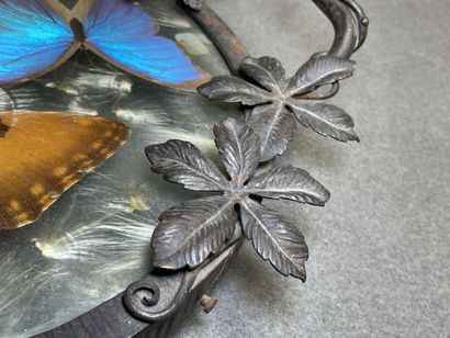 Plateau en fer forgé, papillons sous verre.
années...