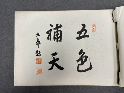 JAPON: The Reproductions of the exhibits...