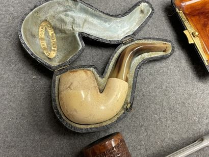 Ensemble de cinq pipes bruyères et écume...