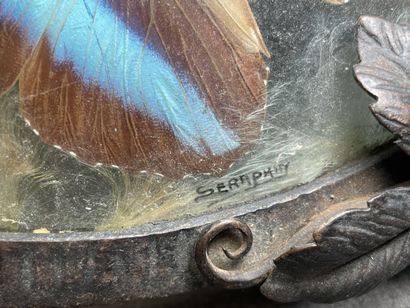 Plateau en fer forgé, papillons sous verre.
années...