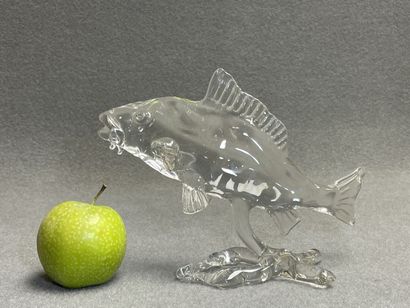 Poisson en verre. 
En coffret. 
H. :17 cm....