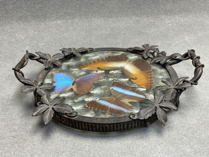 Plateau en fer forgé, papillons sous verre.
années...