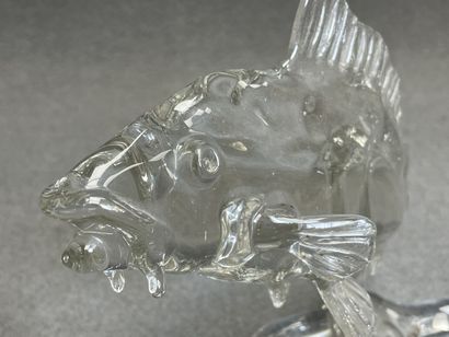 Poisson en verre. 
En coffret. 
H. :17 cm....