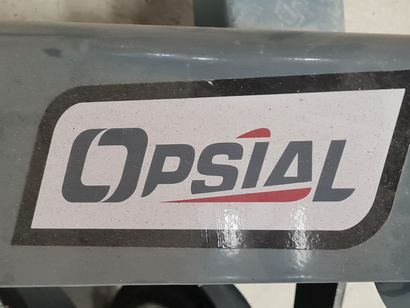 Transpalette OPSIAL 2500kg