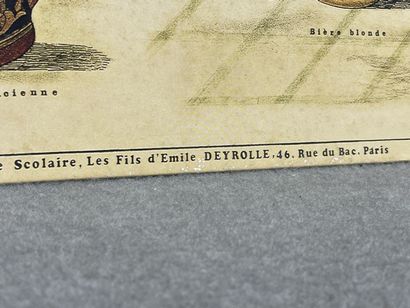 Trois reproductions d'affiches du musée scolaire...