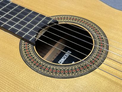 Guitare de concerto dans son étui. 
Marque...