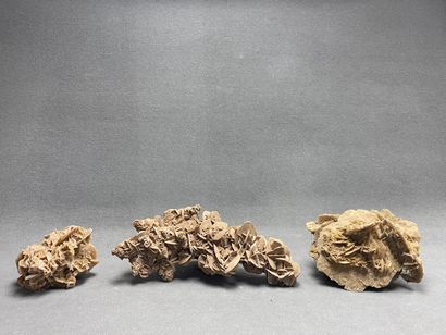 Trois importantes roses des sables. 
15 x...