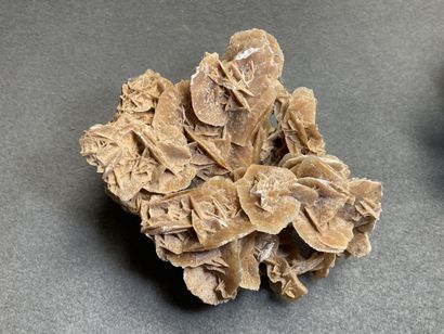Trois importantes roses des sables. 
15 x...