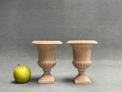 Deux petits vases médicis en terre cuite....
