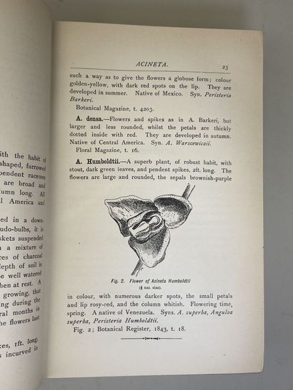 WATSON, W & BEAN, W. - Orchids : their culture...