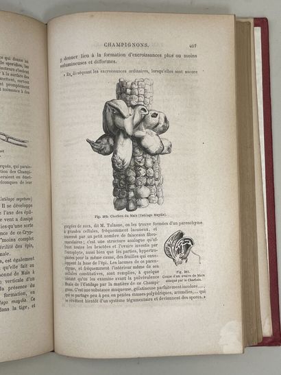 FIGUIER, Louis. - Histoire des Plantes. Ouvrage...