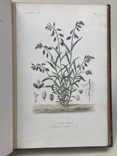 DUPUIS, A & REVEIL, O. - Flore médicale usuelle...