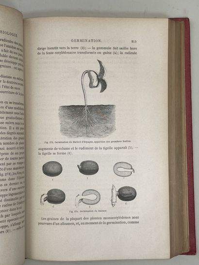 FIGUIER, Louis. - Histoire des Plantes. Ouvrage...